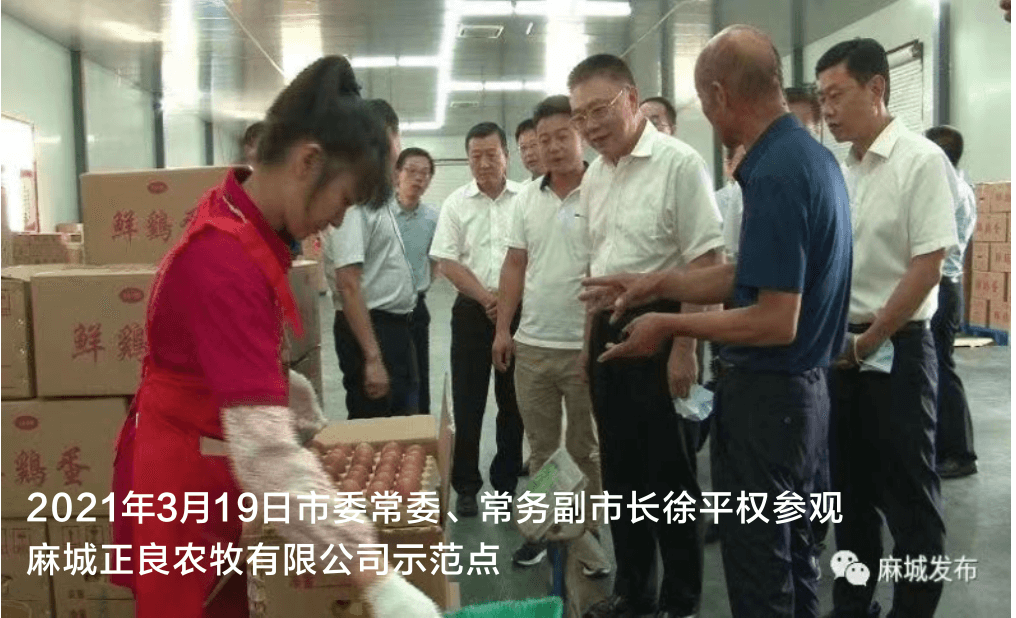 乾源农牧国家农民合作社示范社相关动态配图