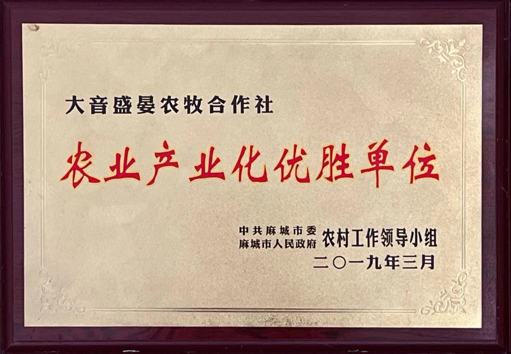 乾源农牧环保与防疫相关证书